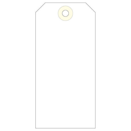 Apli Etiquetas con Arandela 120 x 57mm 1.000 U.