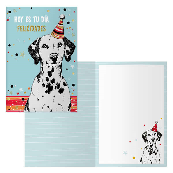 Dohe Pack de 6 Tarjetas de Felicitacion de Cumpleaños - 11.5x17cm - Impresion a Todo Color - Estampaciones con Pelicula de Colo