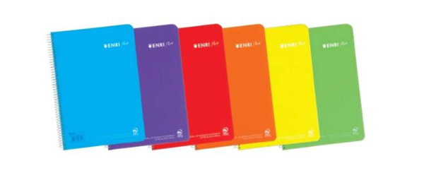 Enri Plus Cuaderno Espiral Formato Cuarto Cuadriculado 4x4mm - 80 Hojas 90gr con Margen - Cubierta de Plastico - Colores Surtido