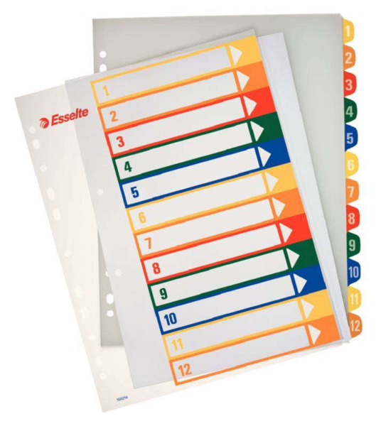 Esselte Indice para Proyectos Imprimible A4 Maxi Tipo 1-12 Multicolor - Multitaladro - Material PP Rigido 300 Micras, Portada 35