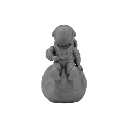 Filamento 3D PLA - Diametro 1.75mm - Bobina 1kg - Color Plata