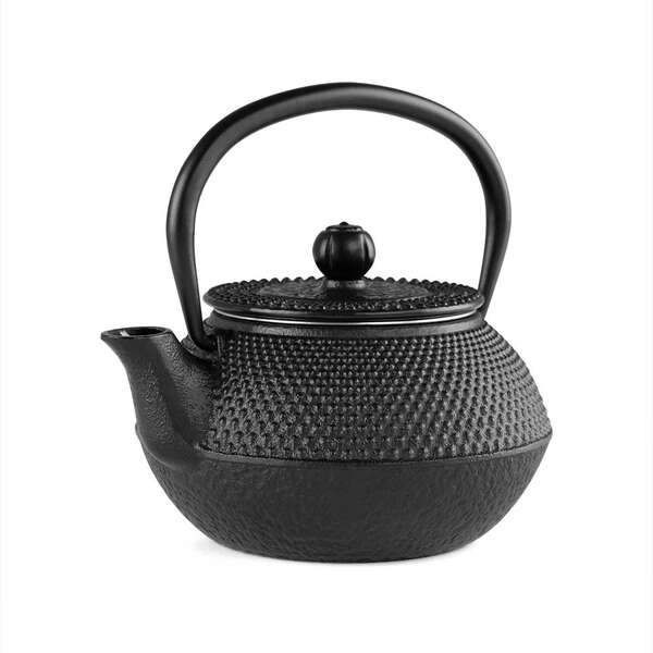 Orbegozo TTH Tetera Tetsubin 300ml - DiseÃ±o Tradicional Japones - Interior Esmaltado - Filtro de Acero Inoxidable - Apta para T