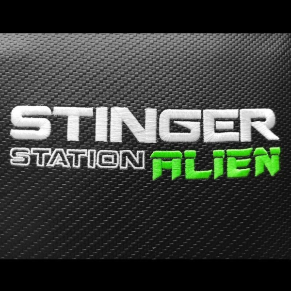 Silla Gaming Woxter Stinger Station Alien/ Verde (4)